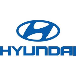 HYUNDAI STEEL HYUNDAI STEEL